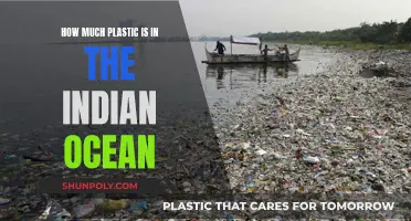 The Indian Ocean: A Plastic Crisis