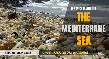 The Mediterranean's Plastic Problem: An Urgent Marine Crisis