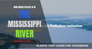 The Mississippi's Plastic Problem: An Environmental Crisis