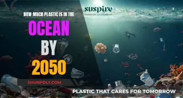 The Ocean's Plastic Crisis: 2050's Dire Prediction