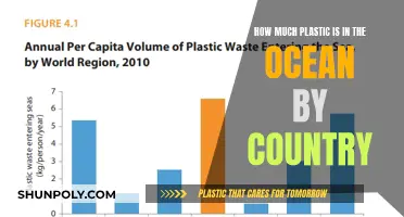 Ocean Plastic Pollution: A Country-by-Country Breakdown