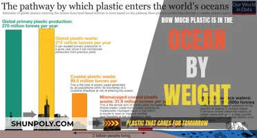 Ocean Plastic Crisis: Weighing the Damage