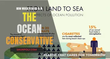 The Ocean's Plastic Problem: A Conservative Estimate