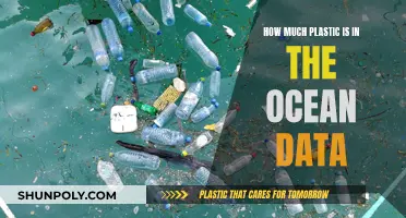 The Ocean's Plastic Problem: Data and Facts