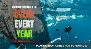 The Ocean's Plastic Problem: An Annual Crisis