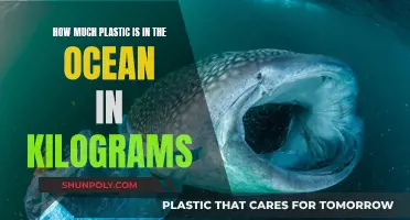 The Ocean's Plastic Crisis: Kilograms of Devastation