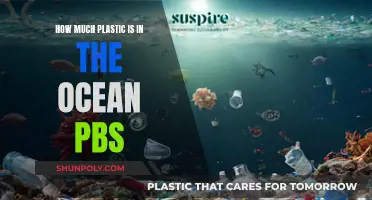 Ocean Plastic Pollution: PBS Documentary Analysis