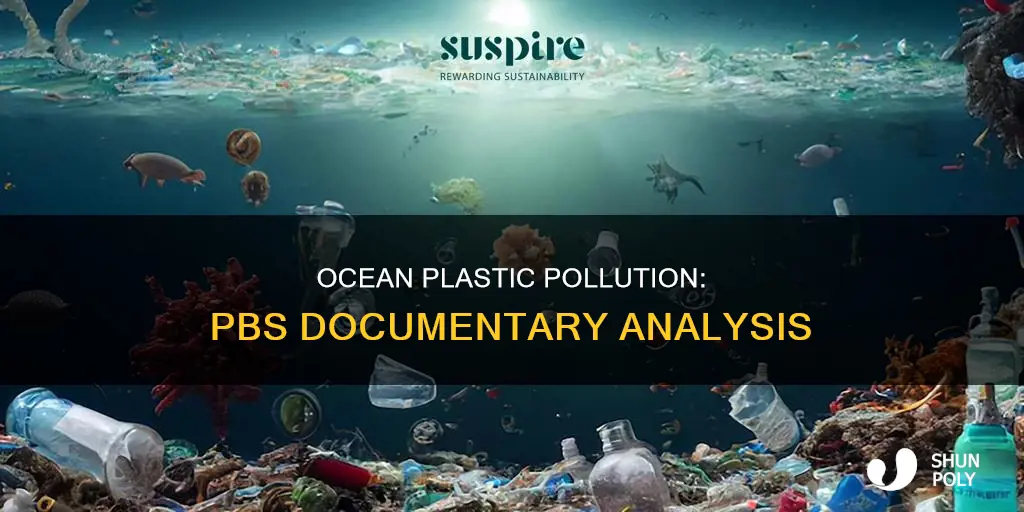 how much plastic is in the ocean pbs