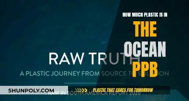 Ocean Plastic Pollution: Understanding the Devastating Impact