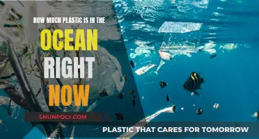 Alarming Truth: Plastic Pollution in Our Oceans Today