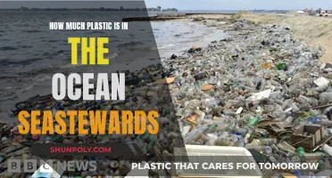 The Ocean's Plastic Problem: Seastewards' Call to Action