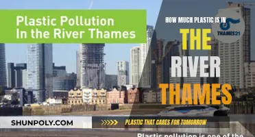 Plastic Pollution in Thames: A River's Sad Tale