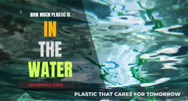 The Water's Plastic Problem: An Ominous Global Crisis