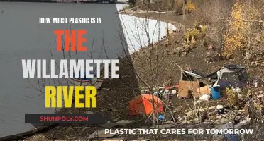 Plastic Pollution in Willamette River: A Comprehensive Study