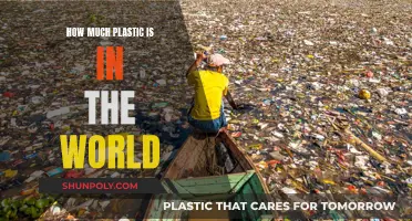 The World's Plastic Problem: A Global Crisis