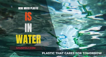 The Water We Drink: Is Plastic Lurking?