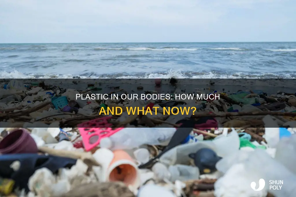 how much plastic is in your body