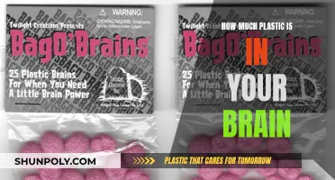 Plastic in the Brain: The Surprising Truth