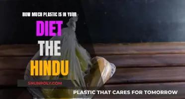 Plastic in Your Diet: The Hindu's Startling Expose