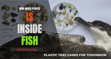 Plastic in Fish: What's the Real Damage?