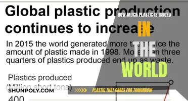 The World's Plastic Problem: Issuance Statistics