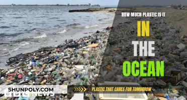 The Ocean's Plastic Problem: An Ominous Overview