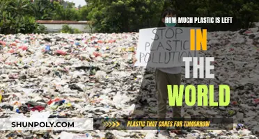 The World's Plastic Problem: How Much Remains?