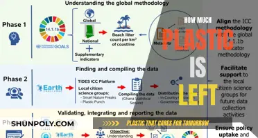 The Plastic Legacy: How Much Remains?