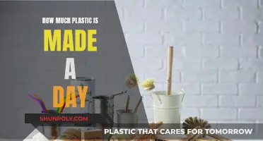 The Daily Plastic Production Problem