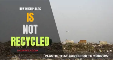 The Plastic Problem: Unrecycled Waste's Impact