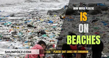 Beaches: A Plastic Crisis Needs Immediate Action