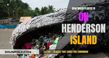 The Plastic Pollution of Henderson Island