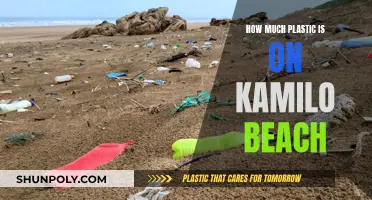 The Plastic Pollution Crisis at Kamilo Beach