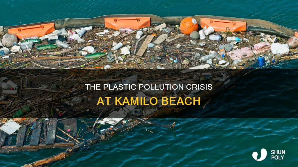 how much plastic is on kamilo beach