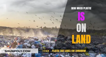 The Land's Plastic Problem: How Much is Out There?