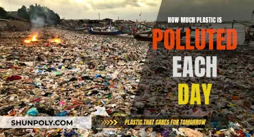 The Daily Plastic Pollution Crisis: Understanding the Devastating Impact