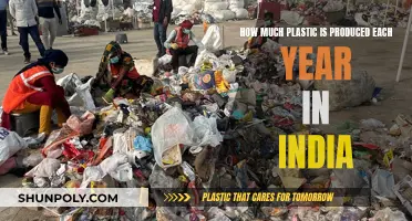 Plastic Production in India: An Annual Overview