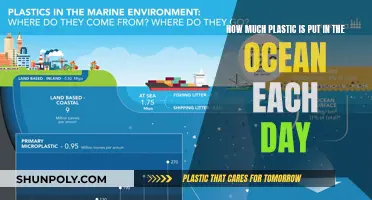 The Ocean's Daily Plastic Intake: A Global Concern