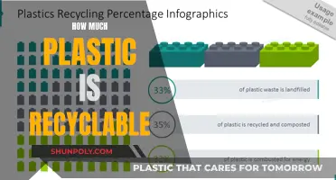 The Plastic Recycling Myth: What's Really Recyclable?