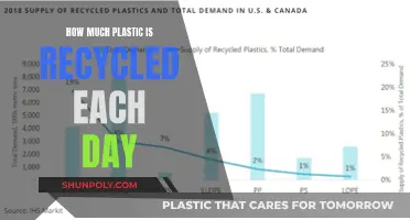 The Reality of Daily Plastic Recycling Efforts