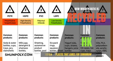 Hong Kong's Plastic Recycling Efforts: An Overview