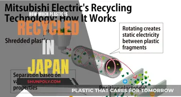 Japan's Plastic Recycling Efforts: An In-Depth Analysis