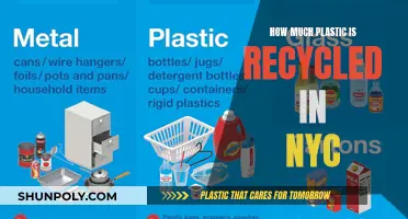 Recycling Efforts: NYC's Plastic Waste Management