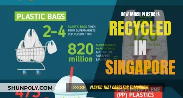 Singapore's Plastic Recycling Efforts: How Effective Are They?