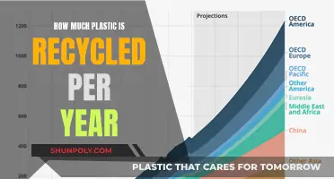 Global Plastic Recycling: The Annual Impact and Challenges