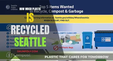 Seattle's Plastic Recycling Efforts: How Effective Are They?