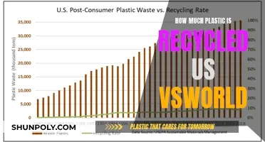 Recycling Reality: US vs World Plastic Waste Management