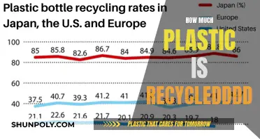 The Plastic Recycling Myth: What's Really Happening?