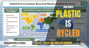 The Recycling Reality: Plastic's Impact and Our Future