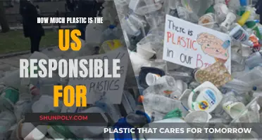 The US's Plastic Problem: A Global Environmental Concern